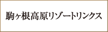 駒ヶ根高原リゾートリンクス